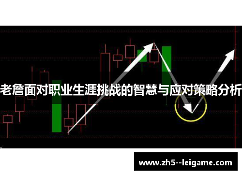 老詹面对职业生涯挑战的智慧与应对策略分析