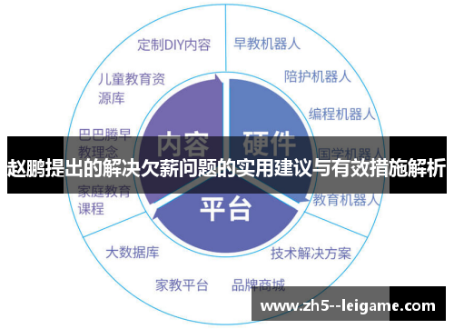 赵鹏提出的解决欠薪问题的实用建议与有效措施解析 赵鹏提出的解决欠薪问题的实用建议与有效措施解析