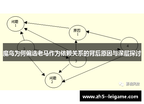魔鸟为何偏选老马作为依赖关系的背后原因与深层探讨