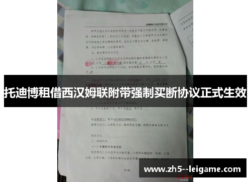 托迪博租借西汉姆联附带强制买断协议正式生效 托迪博租借西汉姆联附带强制买断协议正式生效
