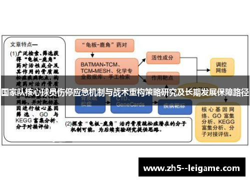 国家队核心球员伤停应急机制与战术重构策略研究及长期发展保障路径 国家队核心球员伤停应急机制与战术重构策略研究及长期发展保障路径
