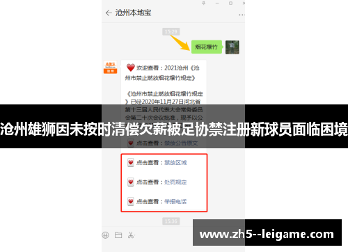 沧州雄狮因未按时清偿欠薪被足协禁注册新球员面临困境 沧州雄狮因未按时清偿欠薪被足协禁注册新球员面临困境