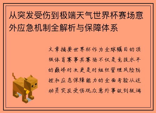 从突发受伤到极端天气世界杯赛场意外应急机制全解析与保障体系