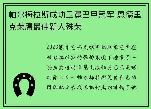 帕尔梅拉斯成功卫冕巴甲冠军 恩德里克荣膺最佳新人殊荣 帕尔梅拉斯成功卫冕巴甲冠军 恩德里克荣膺最佳新人殊荣